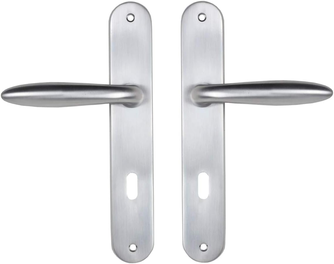  Bricard 984051 Ensemble Poignées Zamak Sur Plaque Esquisse Pour Porte D'Entrée (pour Cylindre Européen), Argent