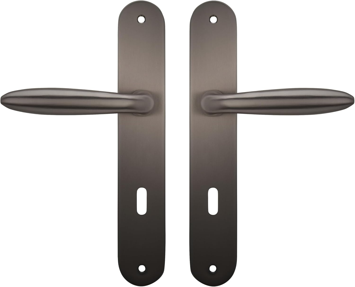  Bricard 984051 Ensemble Poignées Zamak Sur Plaque Esquisse Pour Porte D'Entrée (pour Cylindre Européen), Argent