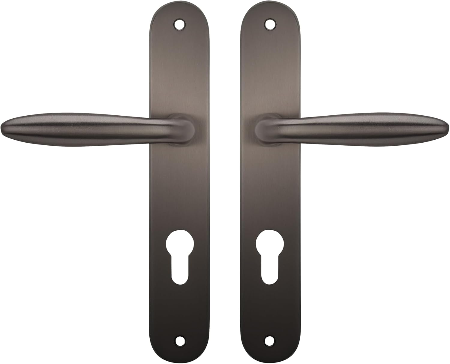  Bricard 984051 Ensemble Poignées Zamak Sur Plaque Esquisse Pour Porte D'Entrée (pour Cylindre Européen), Argent